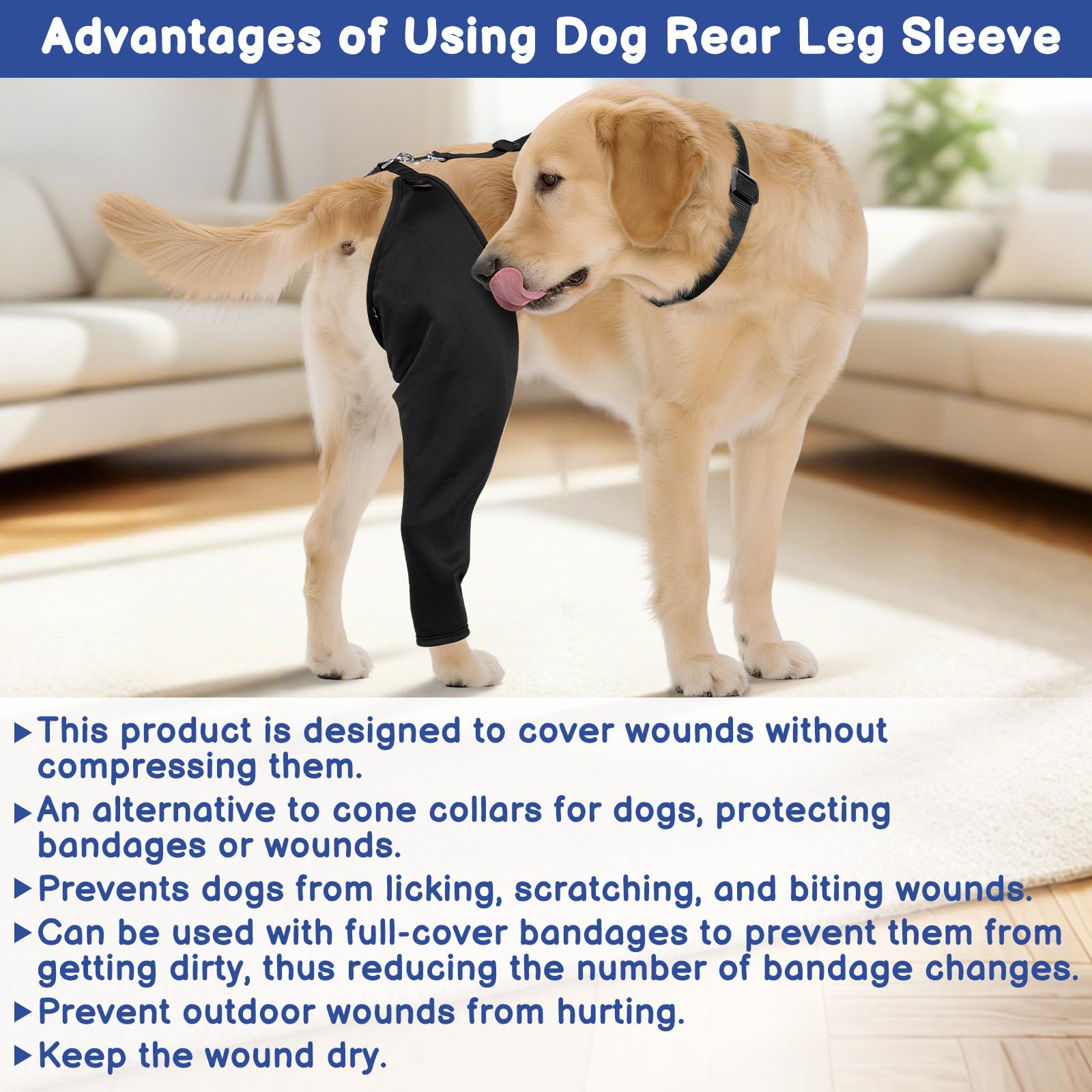 BARKLESS care reminder and inspection for safe wear