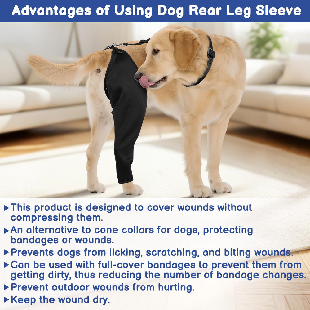 BARKLESS care reminder and inspection for safe wear