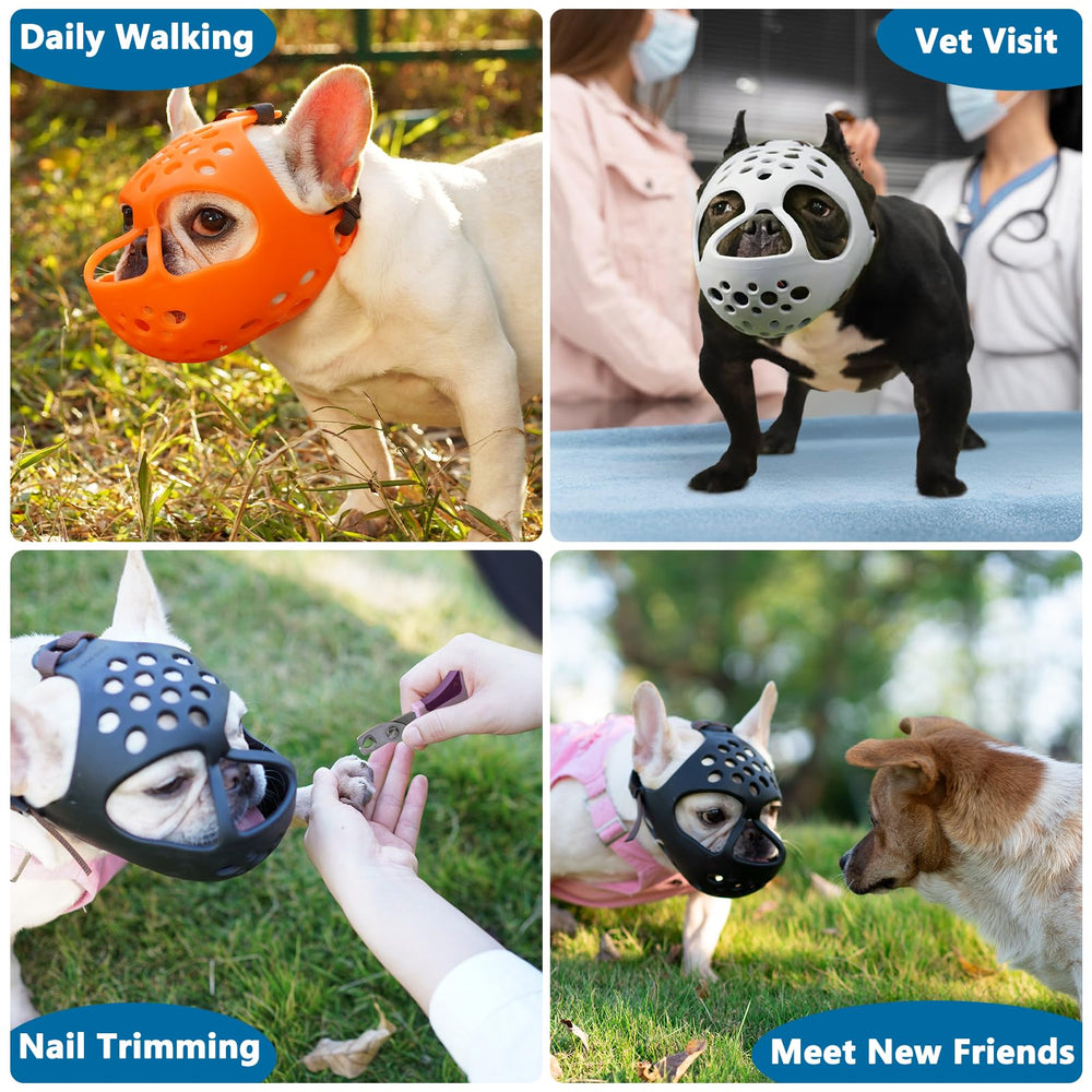 BARKLESS short snout muzzle during acclimation with treats to aid gradual acceptance