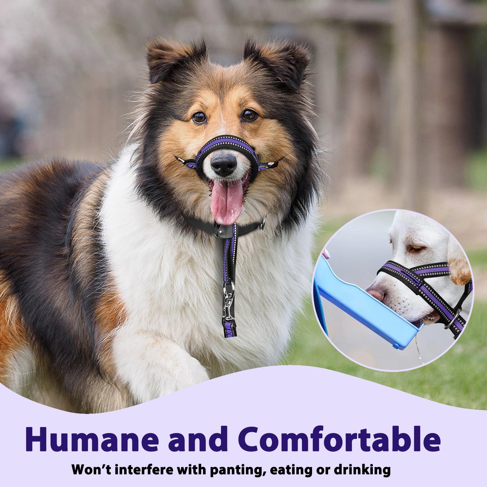 BARKLESS training guide supports gradual, safe introduction of the head collar.