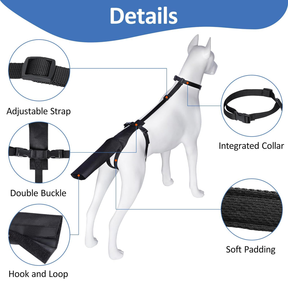 BARKLESS tail protector side view with adjustable straps for a snug fit