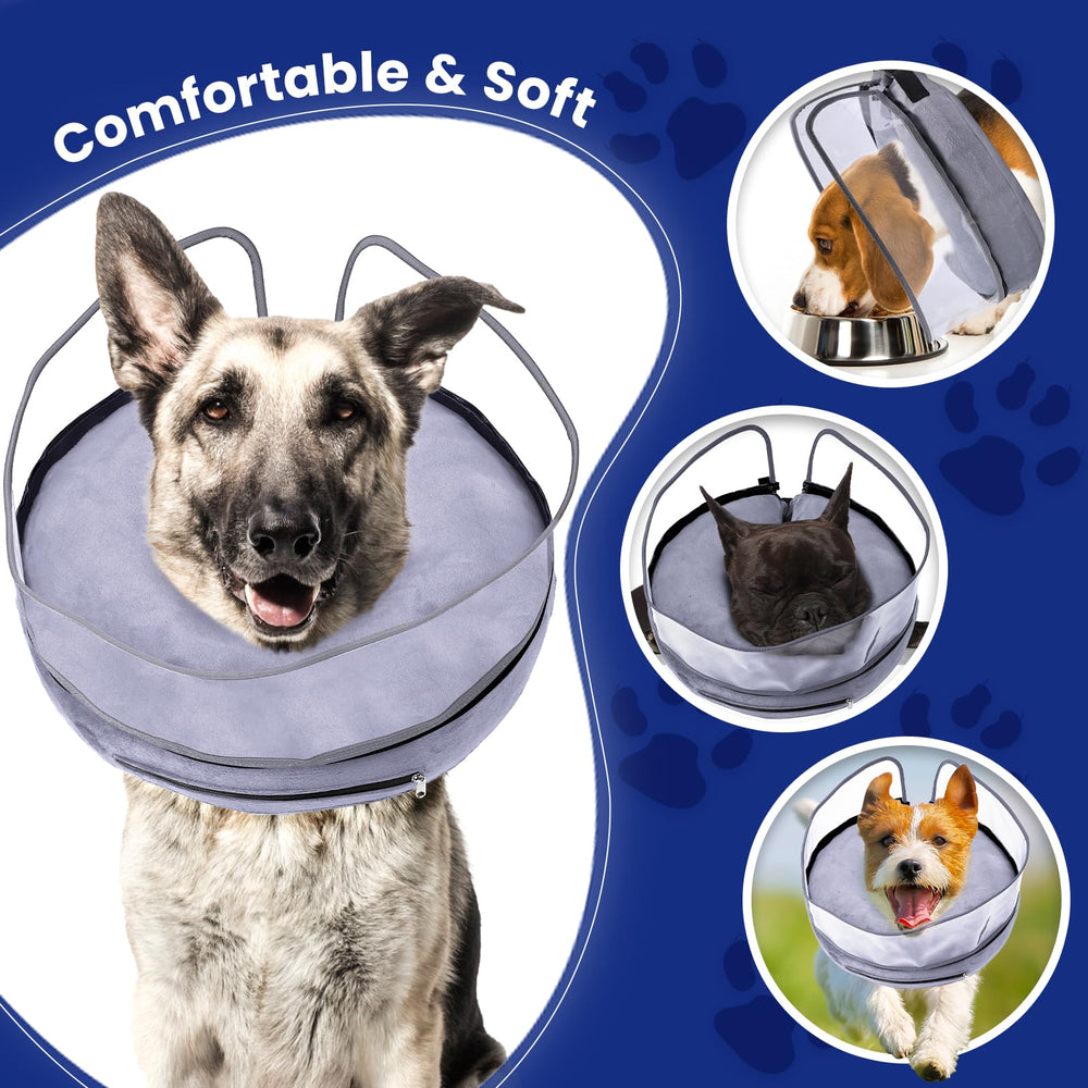 BARKLESS dog wearing cone in action with clear vision.