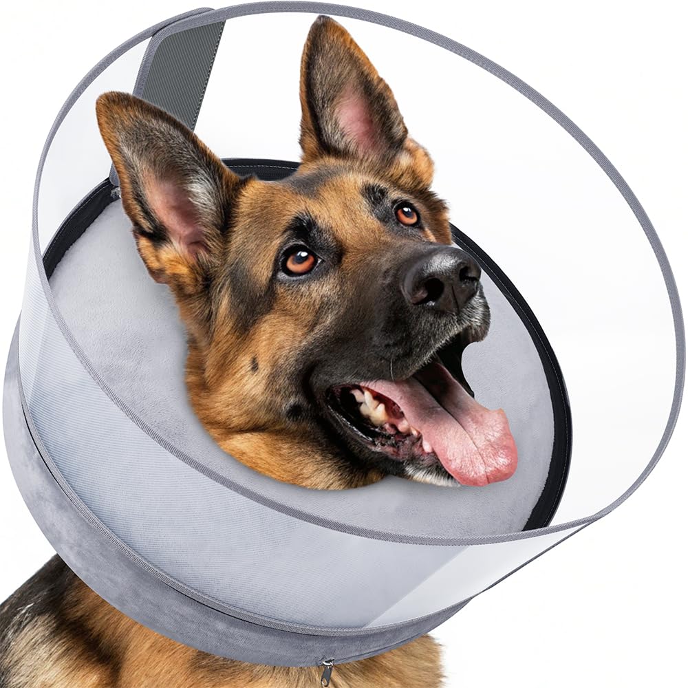 BARKLESS donut collar inflates for gentle post-surgery recovery