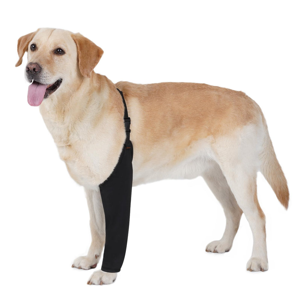 BARKLESS front leg sleeve protects wounds and prevents licking for healing