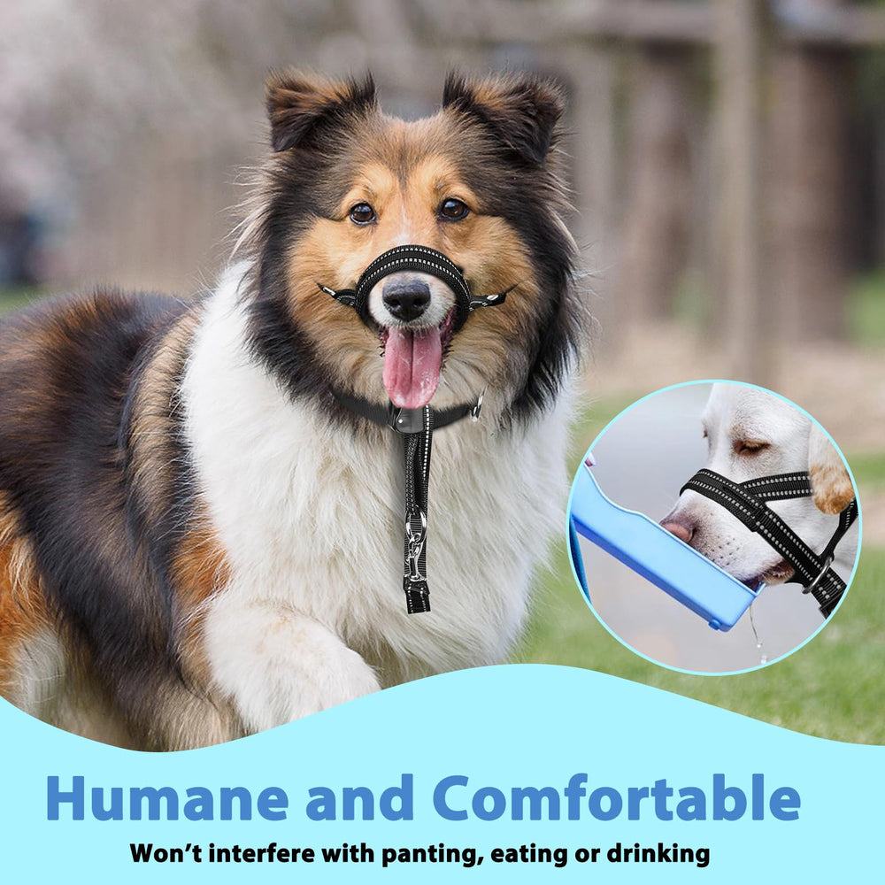 BARKLESS Head Collar durability with sturdy stitching supports daily use.