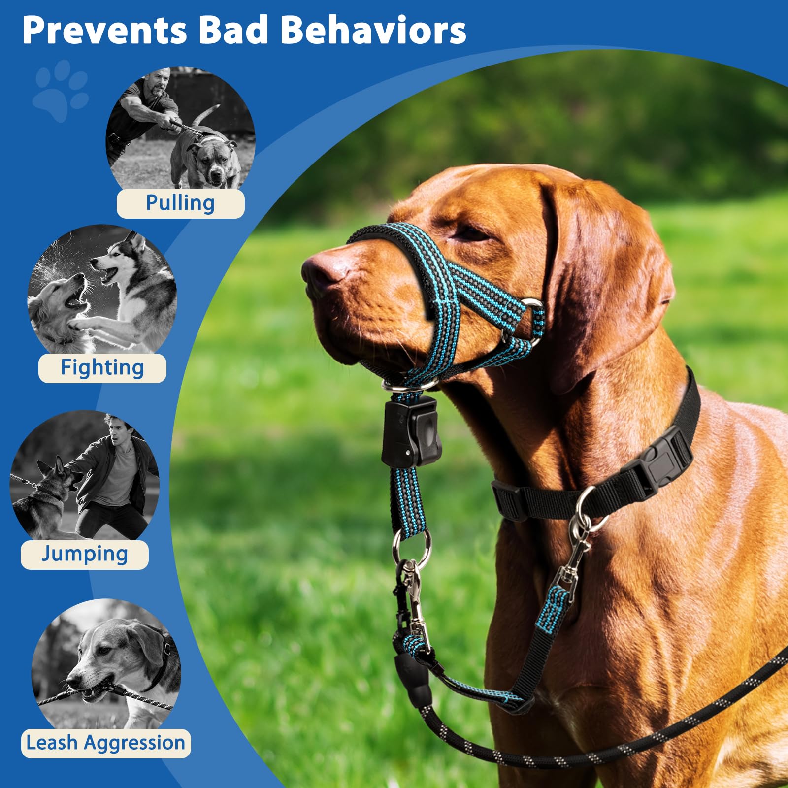 BARKLESS Head Collar easy-on buckle enables quick fitting.