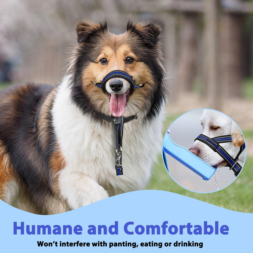 Positive reinforcement training tips accompany the head collar use.