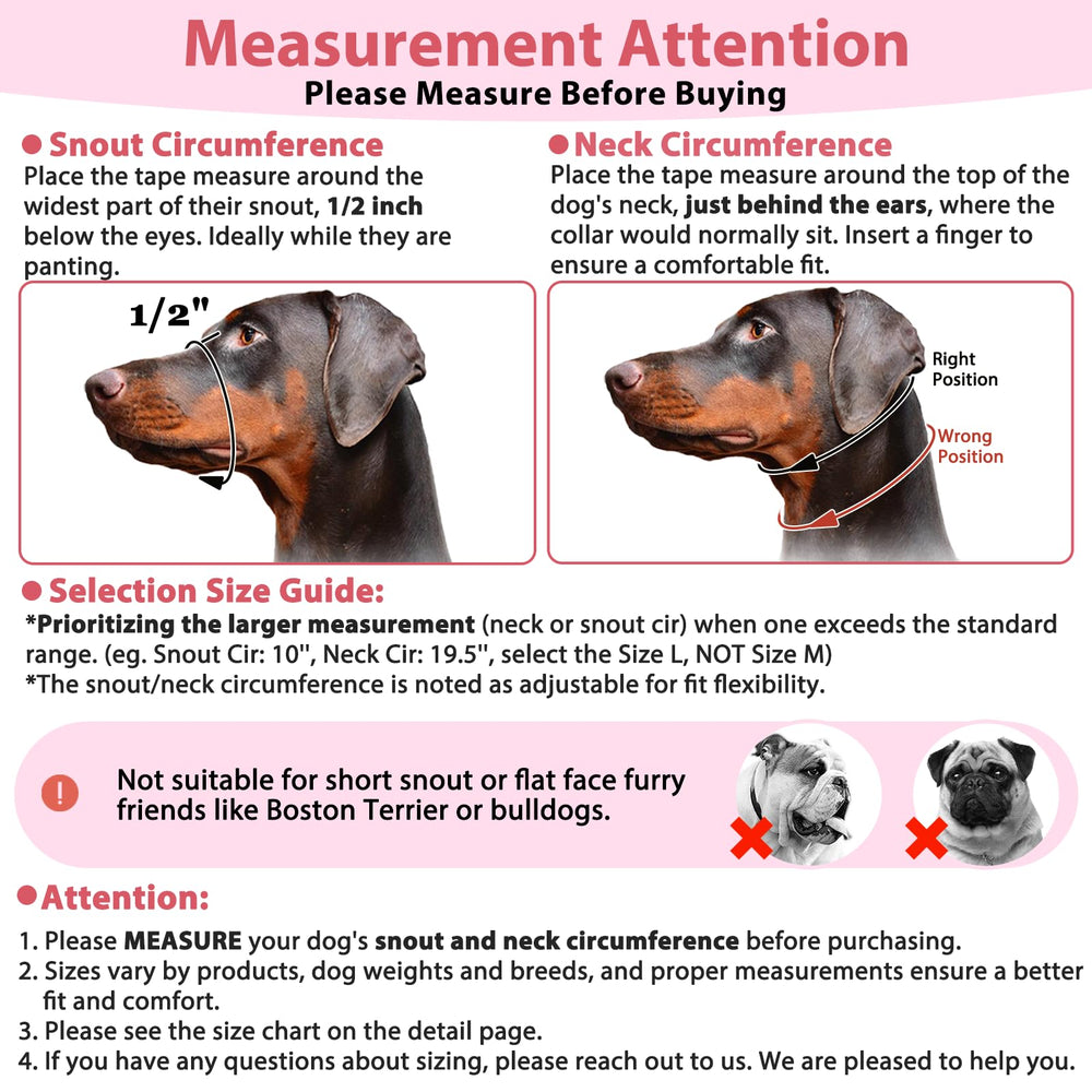 BARKLESS padded nose pads reduce nose rubbing during walks.