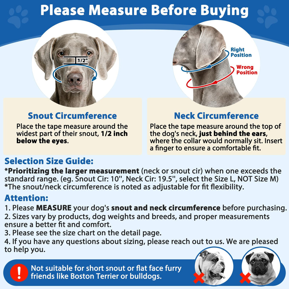 BARKLESS Head Collar reflective strips boost night visibility for safer walks.