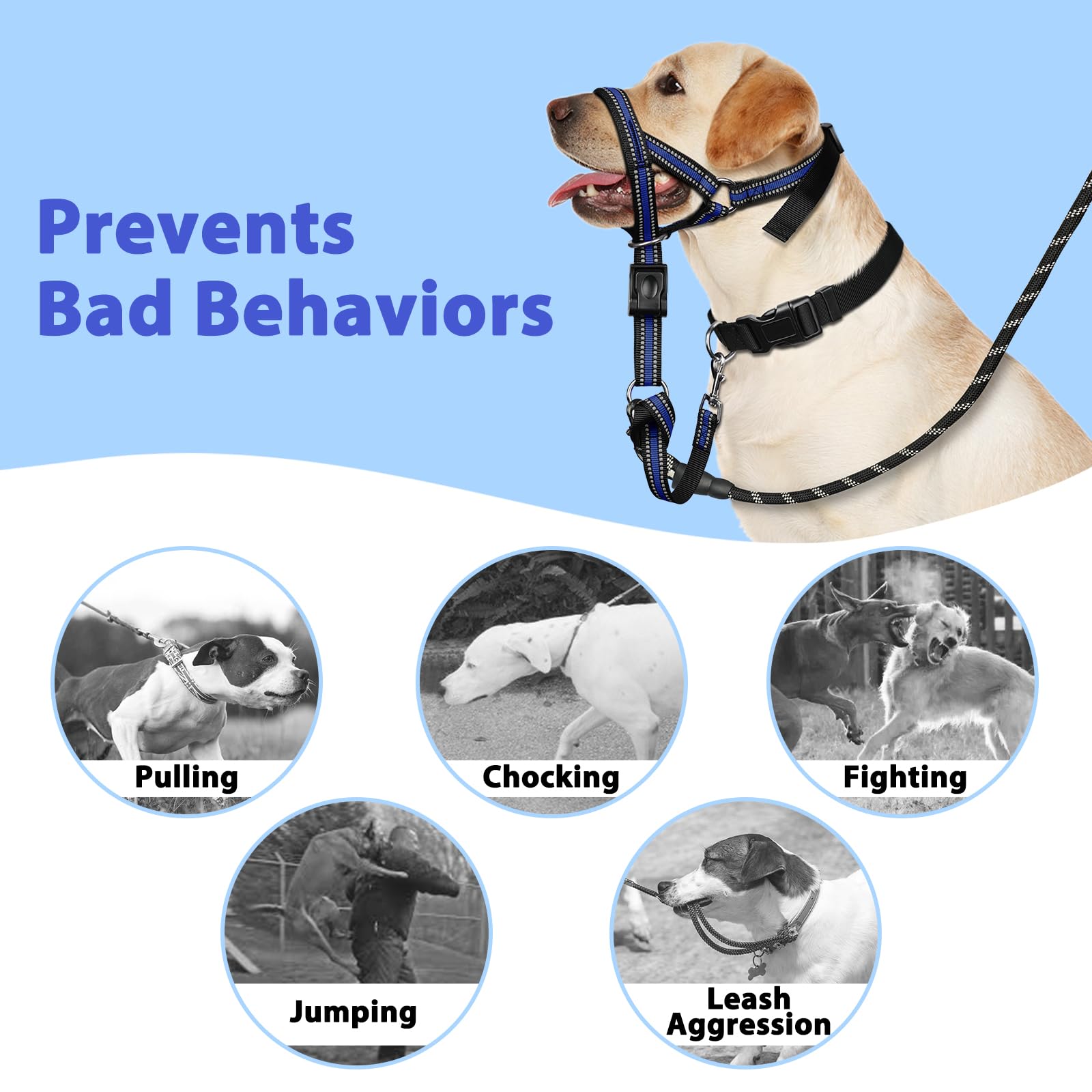Size chart helps fit the collar to medium or large dogs.