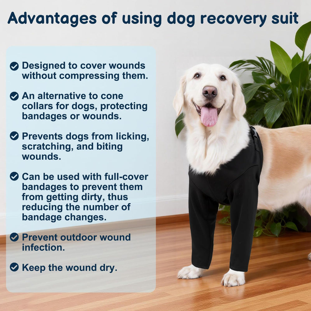 BARKLESS machine-washable design simplifies cleaning between uses.