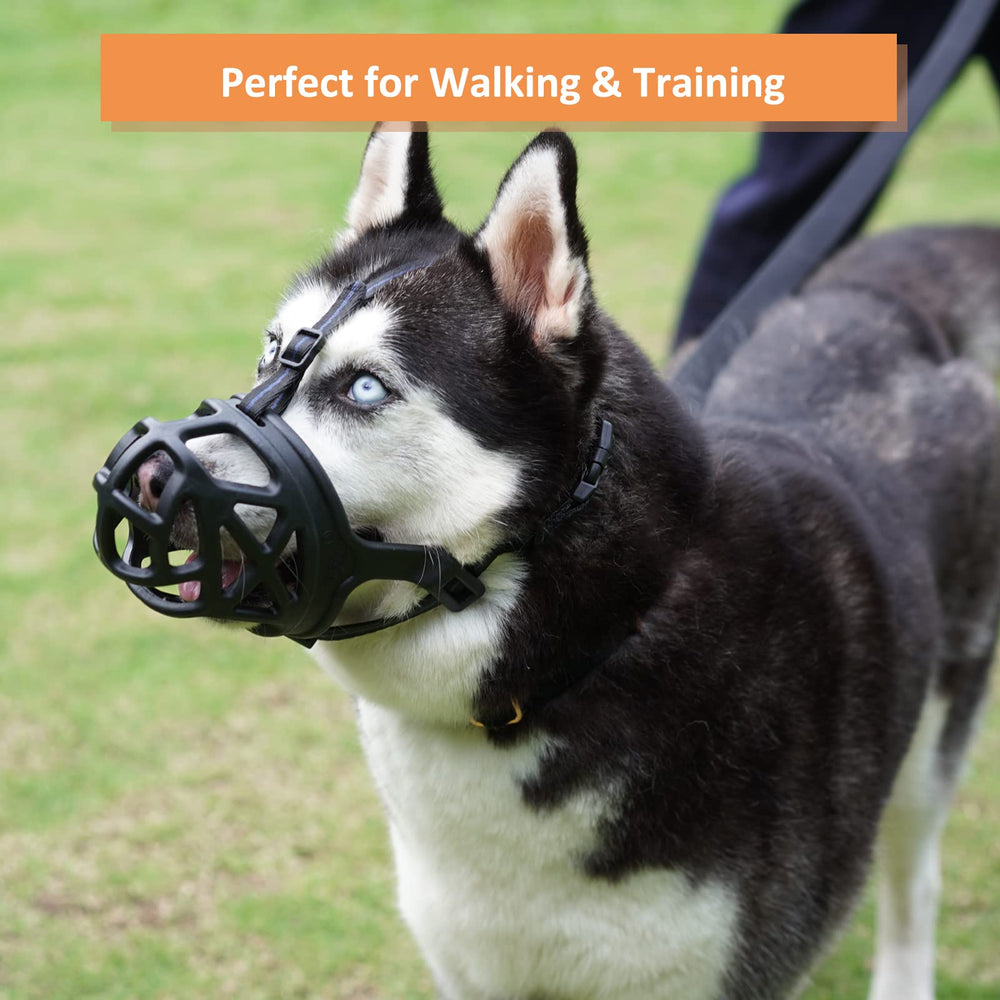 BARKLESS muzzle at a vet visit demonstrating calm restraint