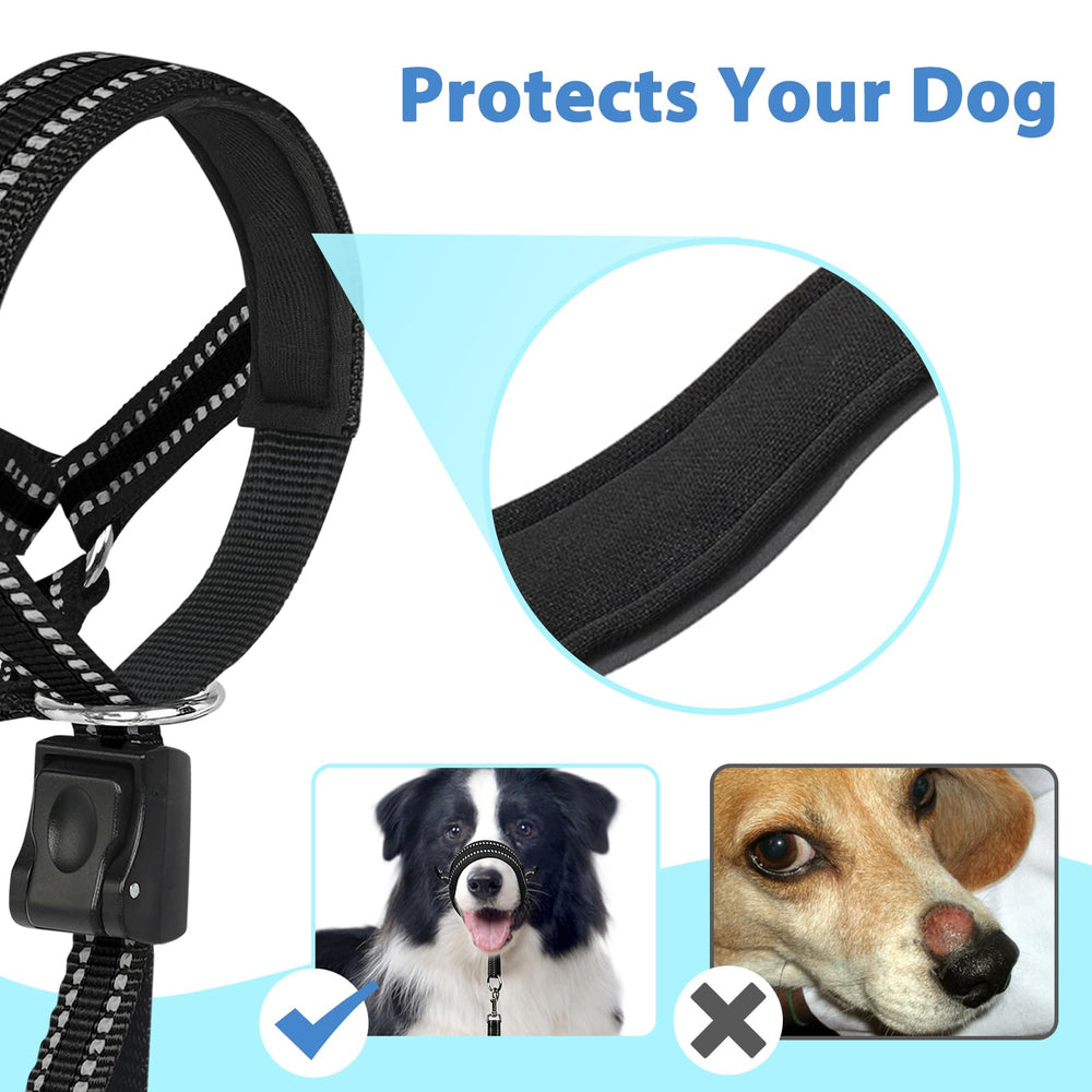 BARKLESS No-pull harness with safety leash adds extra security during walks.