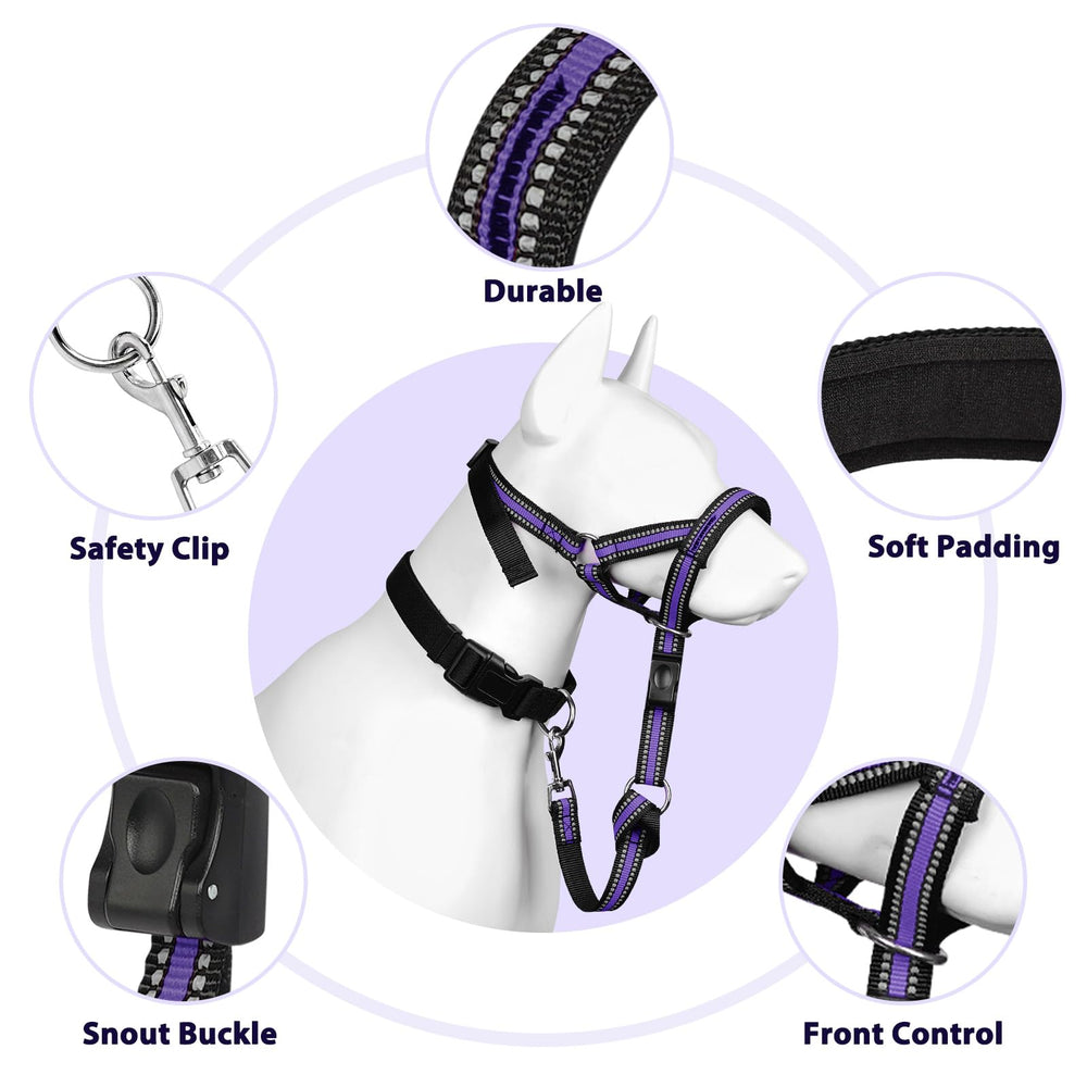 BARKLESS padded no-pull muzzle leash supports controlled walking sessions.