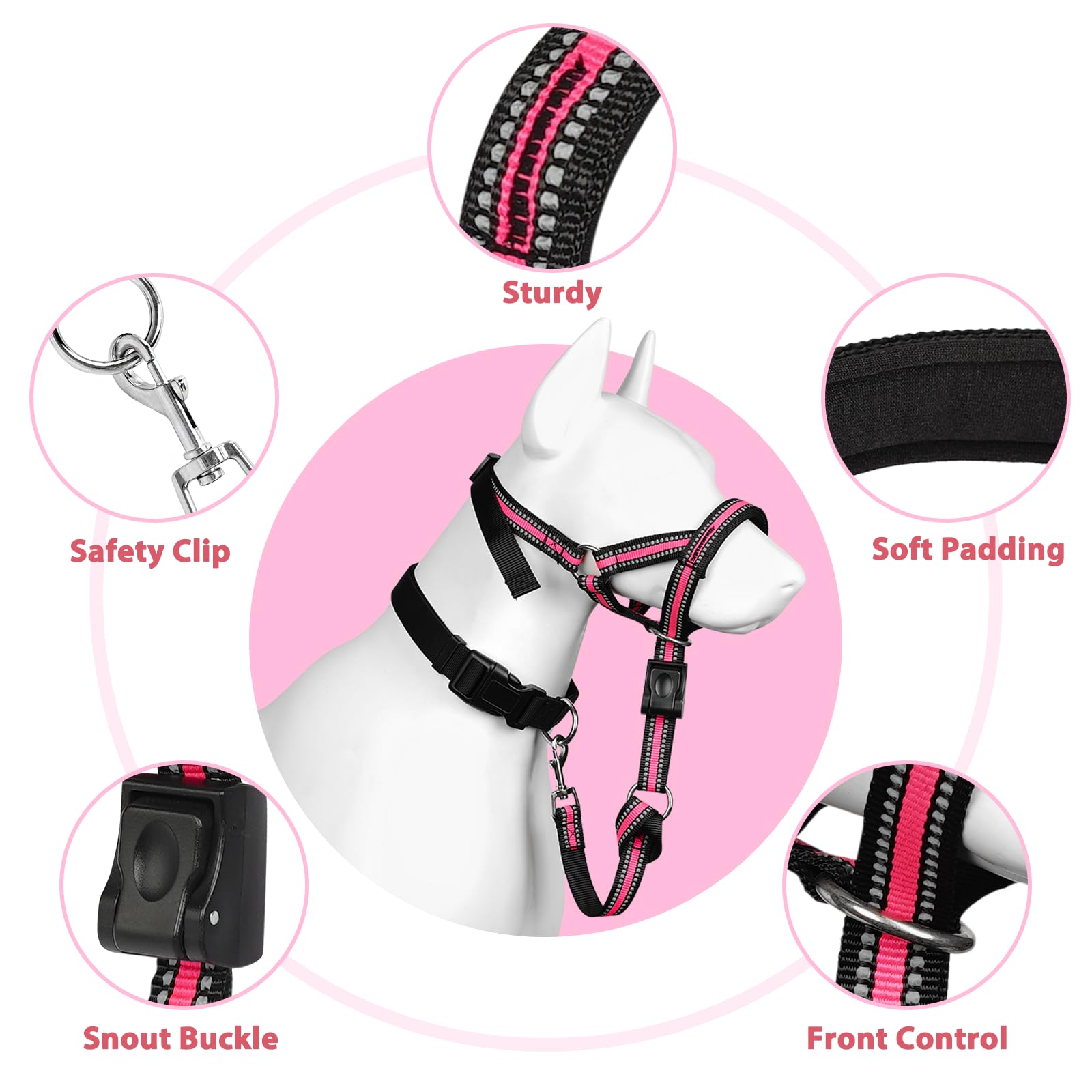 BARKLESS head collar with quick-release design for easy fitting on medium to large dogs.