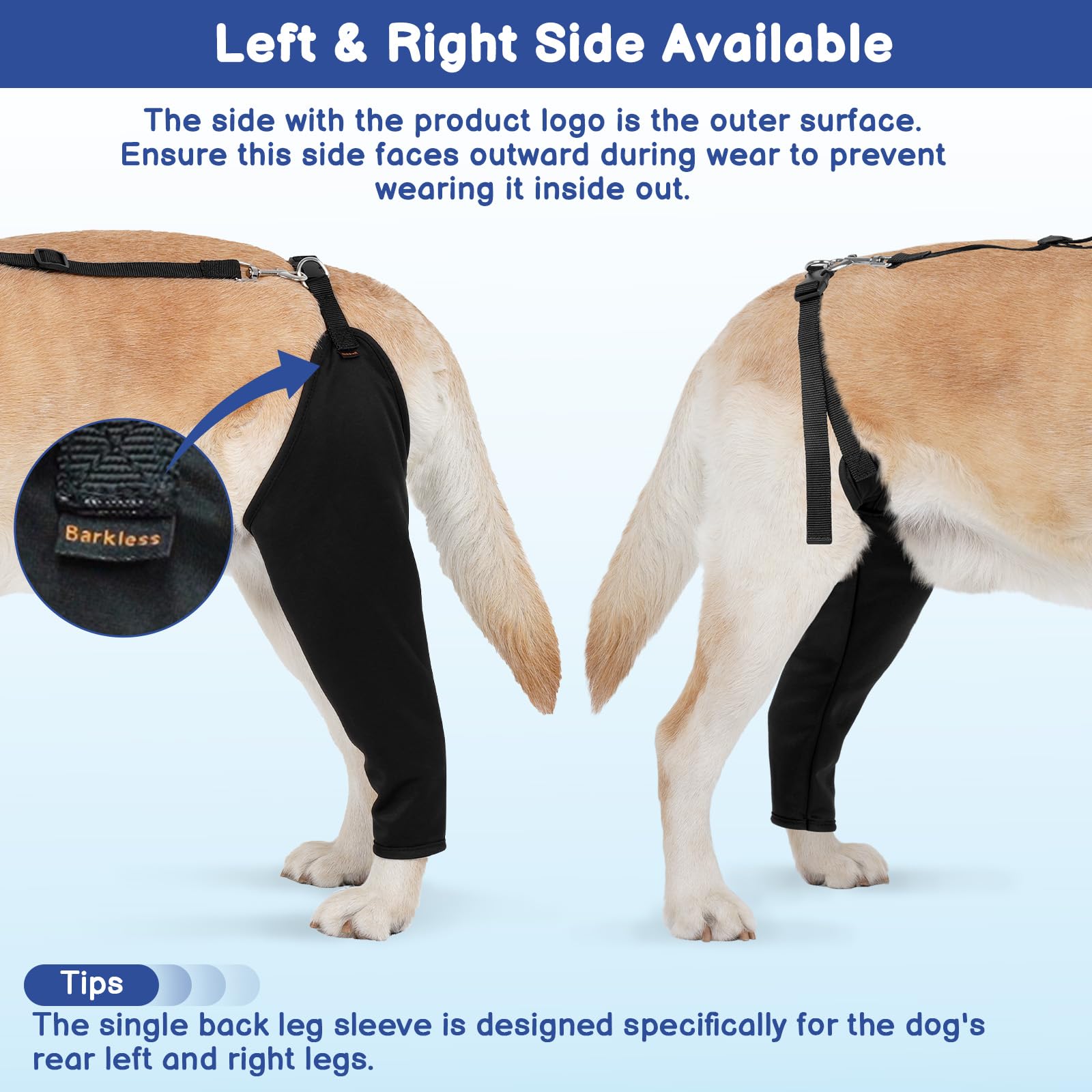 BARKLESS quick-release buckle allows easy on and off during care sessions