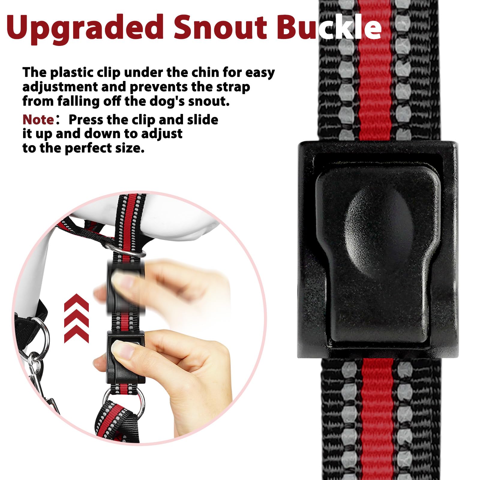 BARKLESS reflective strips boost visibility in low light.