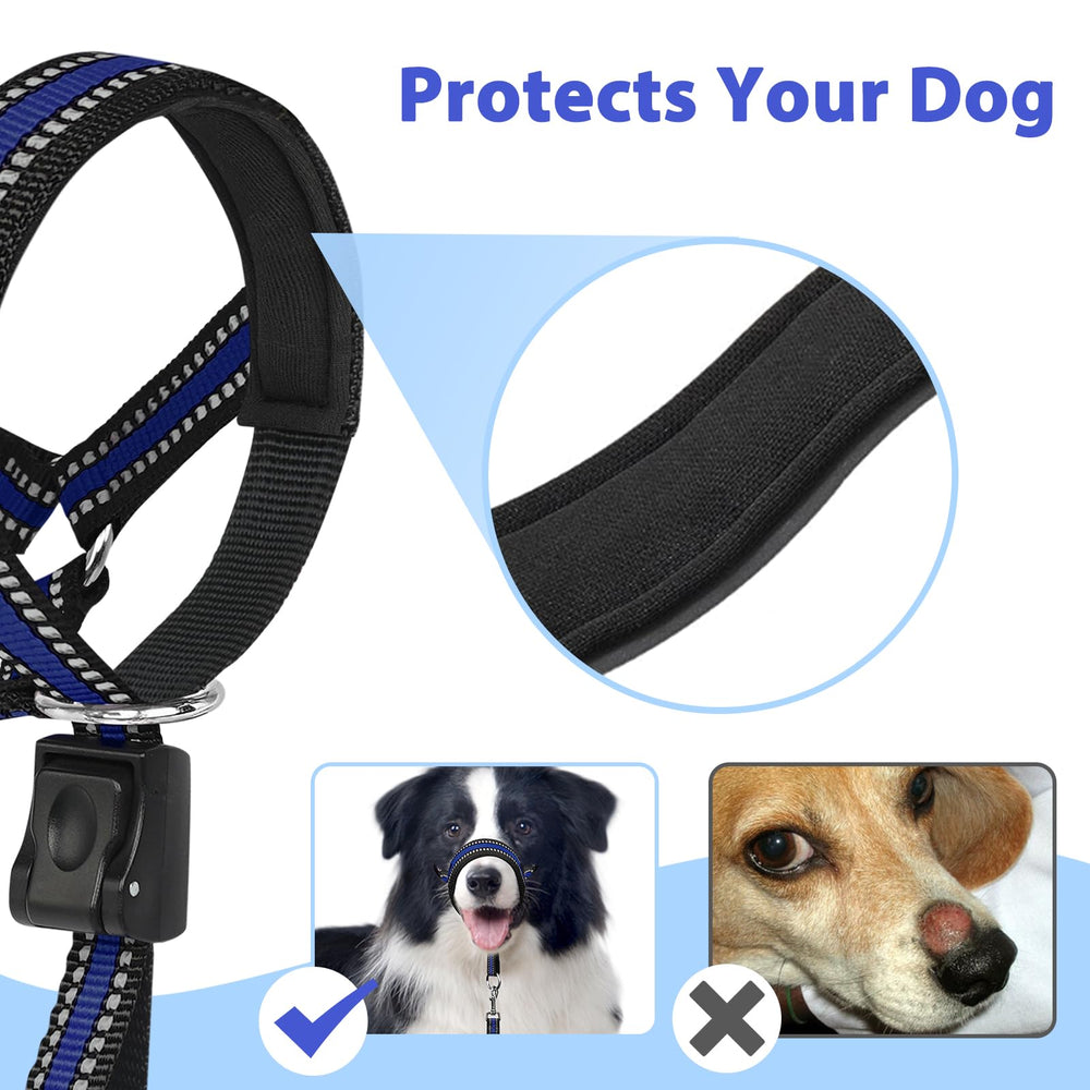 BARKLESS safety leash attachment in blue adds extra security outdoors.