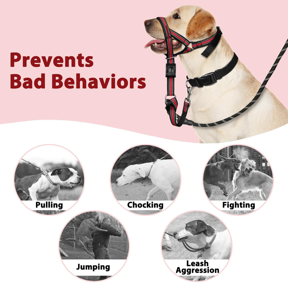 BARKLESS safety leash attachment provides extra security during outdoor use.