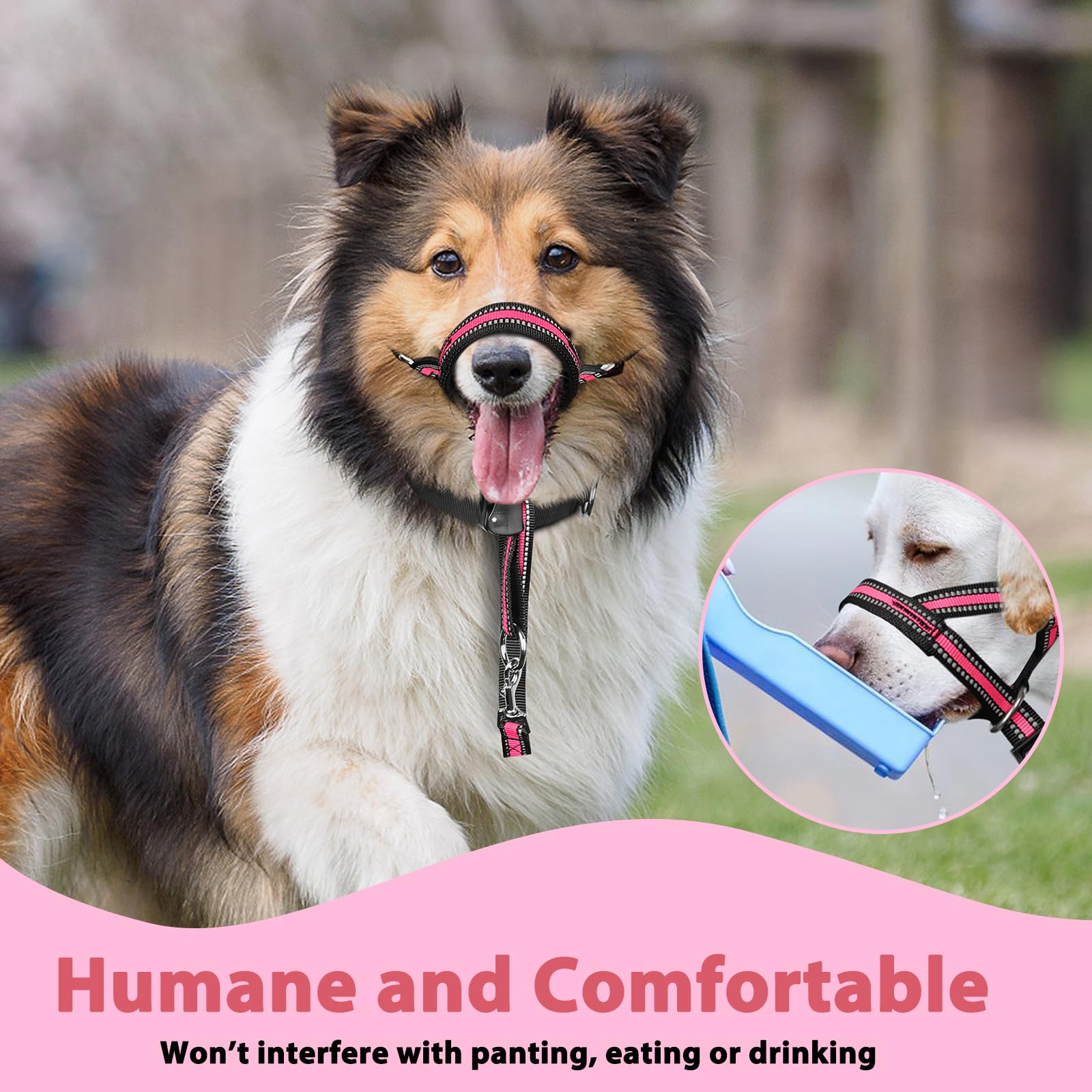 BARKLESS safety leash attachment adds extra security on outings.