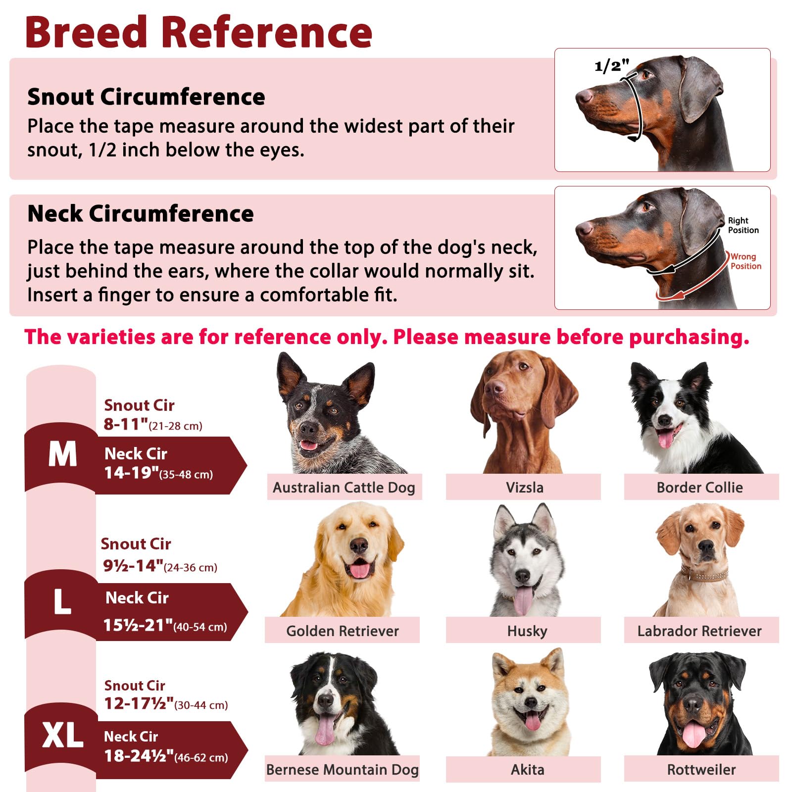 BARKLESS safety leash connection adds control during outdoor walks.