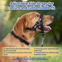 BARKLESS safety link connected to the regular collar for added security