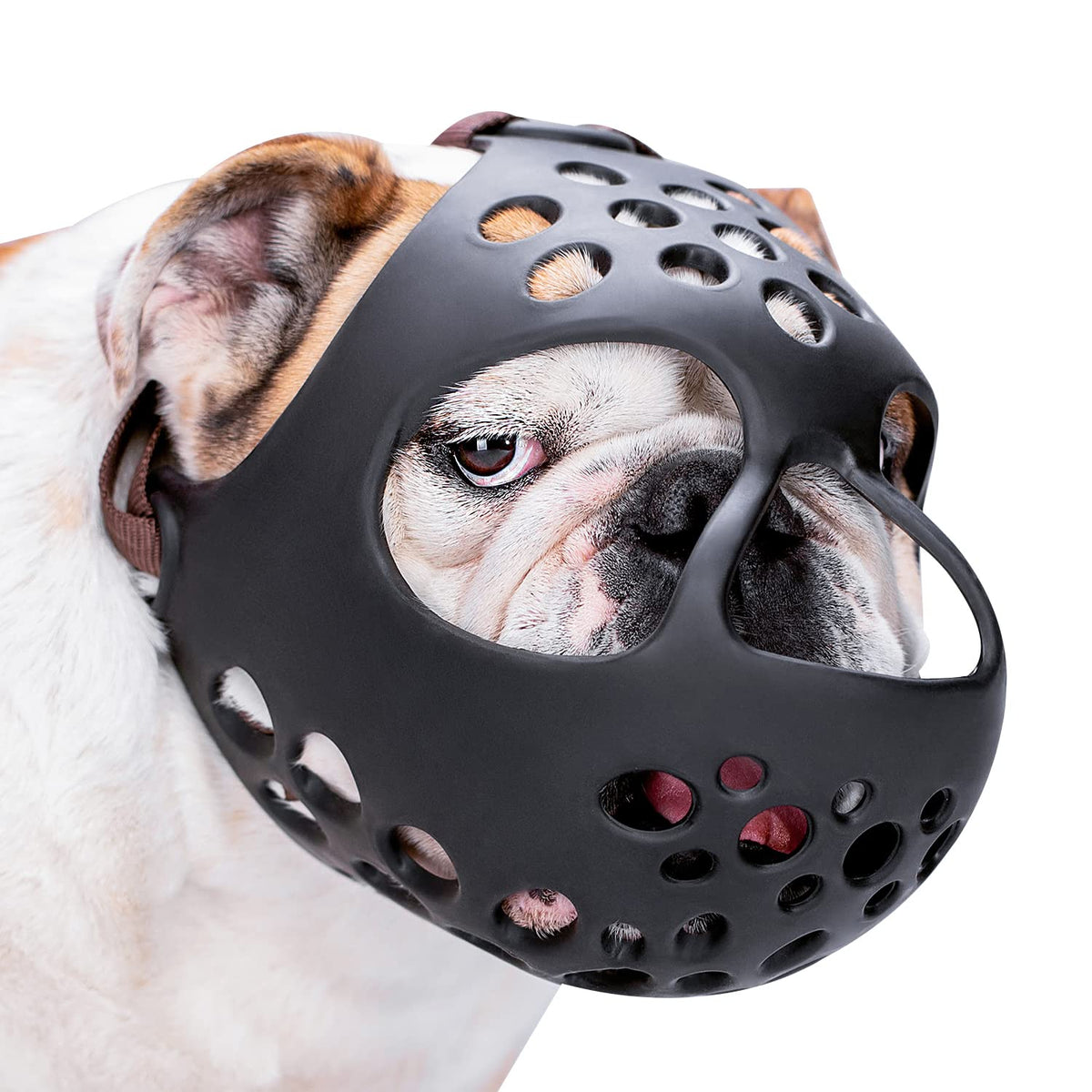 BARKLESS short-snout muzzle in soft silicone offers breathable comfort for flat-faced dogs.