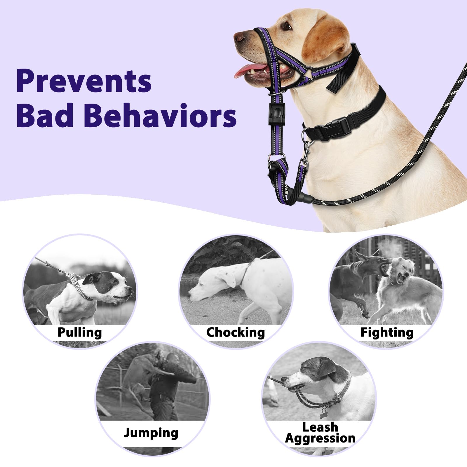 BARKLESS size M head collar with snout 8-11 inch range for medium dogs.