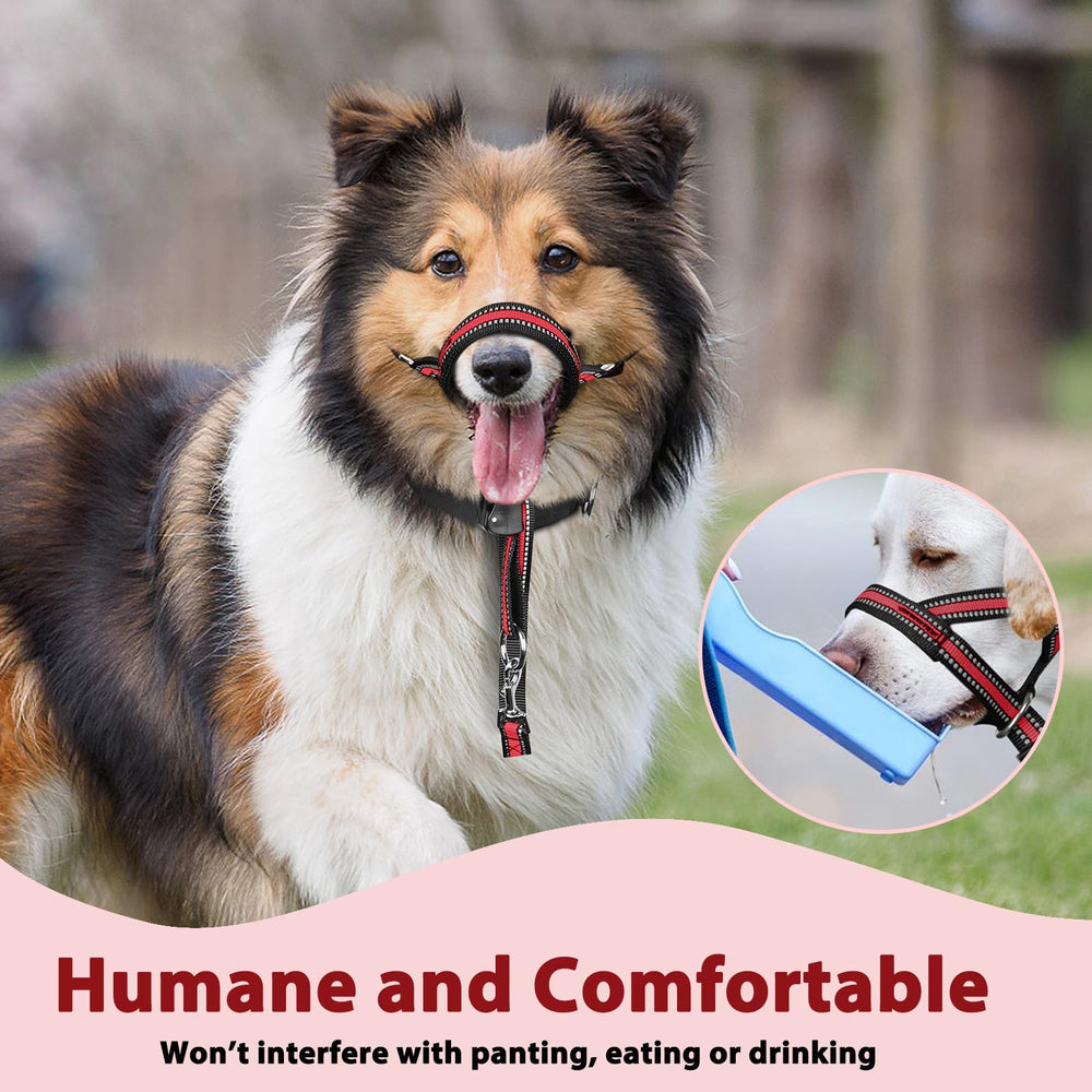 BARKLESS size-m measurement guide ensures proper fitting.