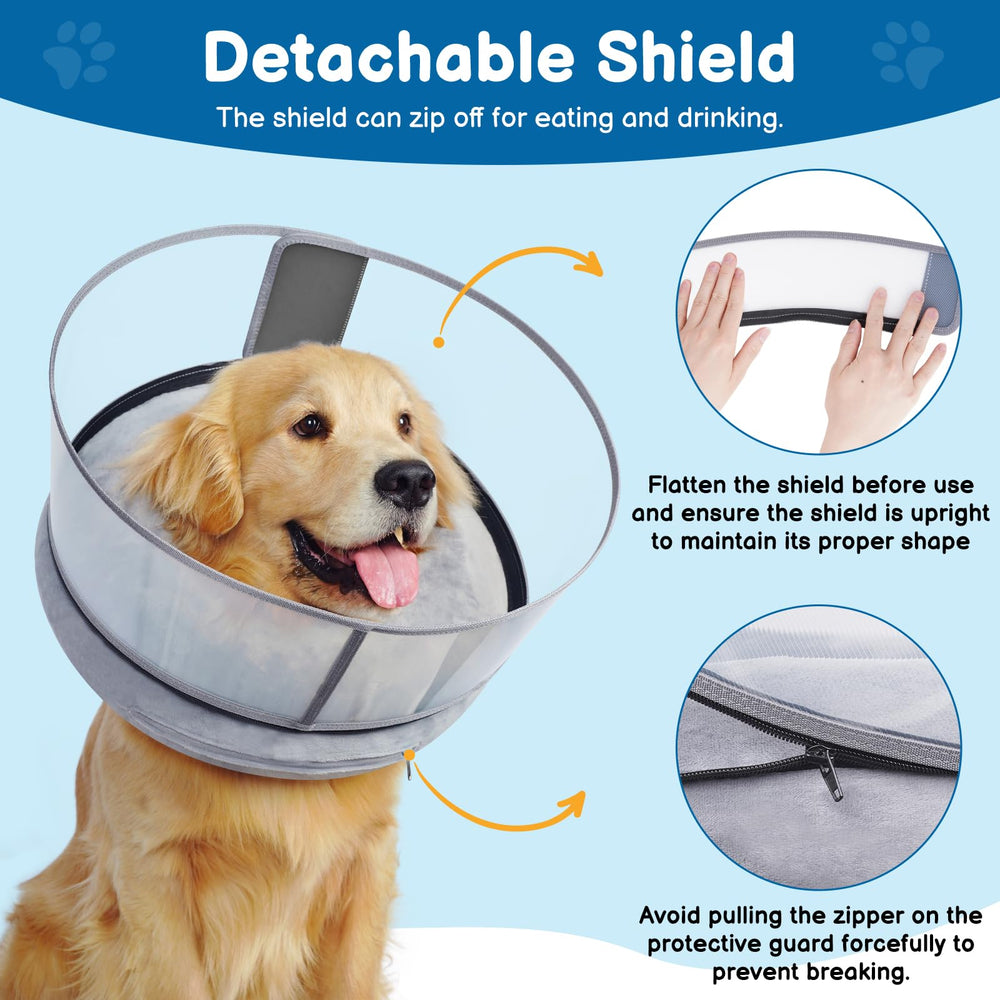 BARKLESS supervision reminder monitor wear during healing