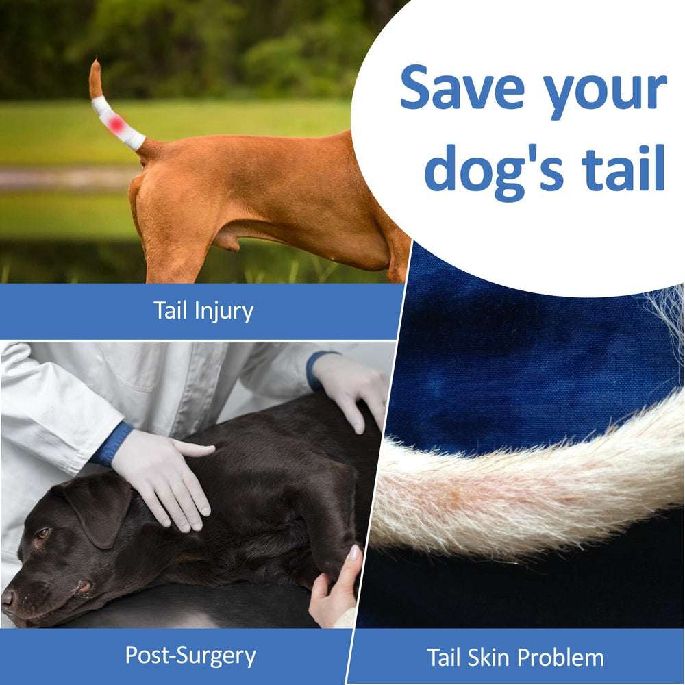 BARKLESS size guide indicating measurements for proper fit