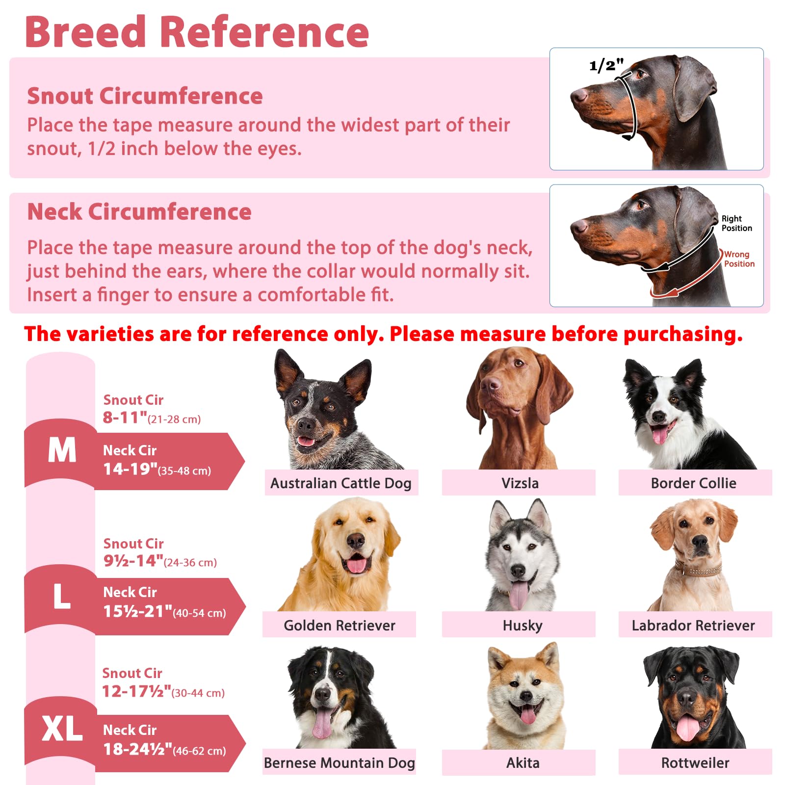 BARKLESS training guide included supports gradual, safe conditioning.