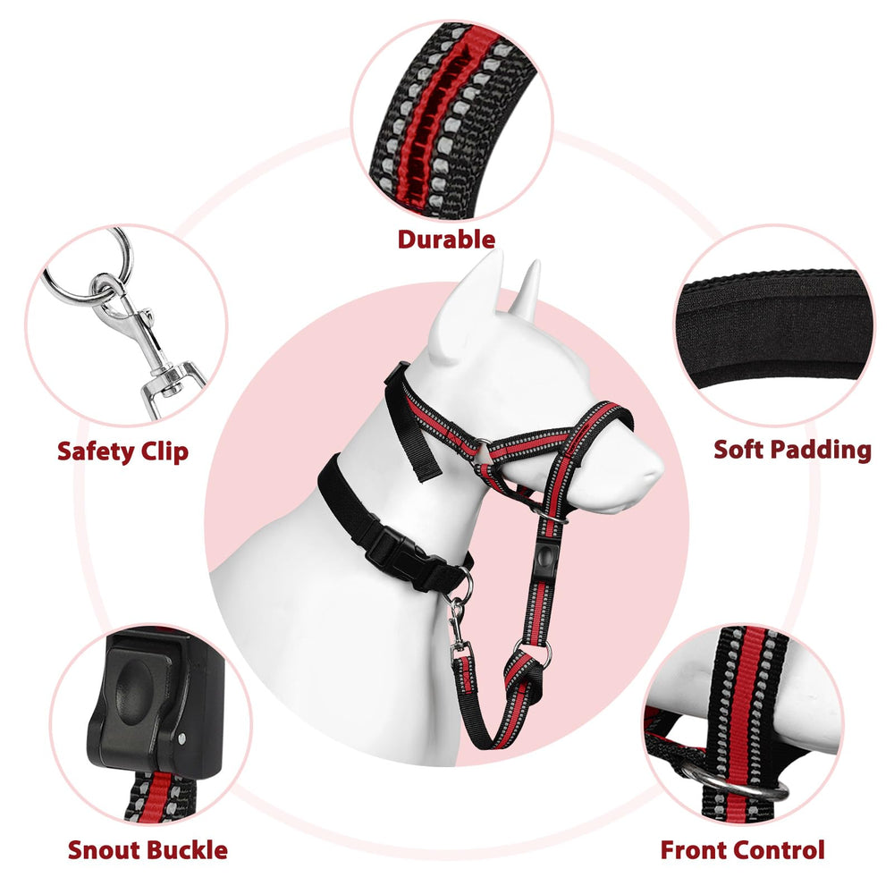 BARKLESS training and safety guide supports gradual use.