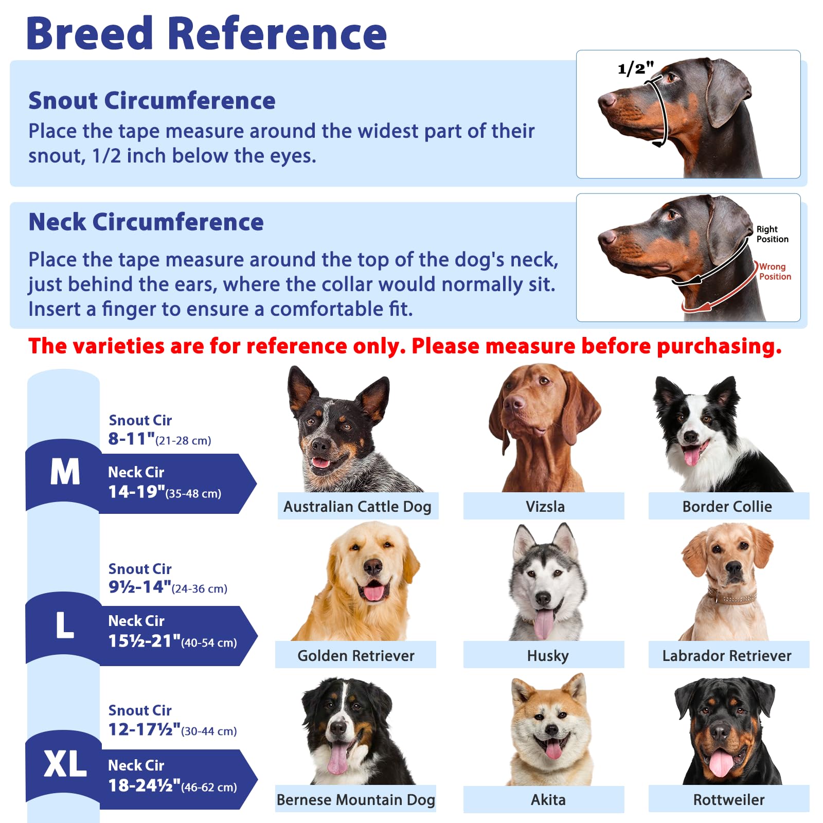 BARKLESS training tips guide in blue supports gradual, positive sessions.