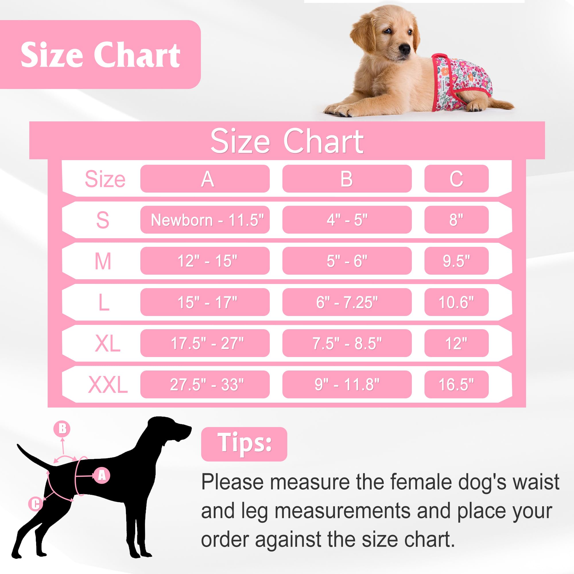 Barklincharm flowers dog diapers back view in packaging, portable and reusable.