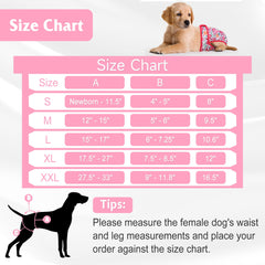 Barklincharm flowers dog diapers back view in packaging, portable and reusable.