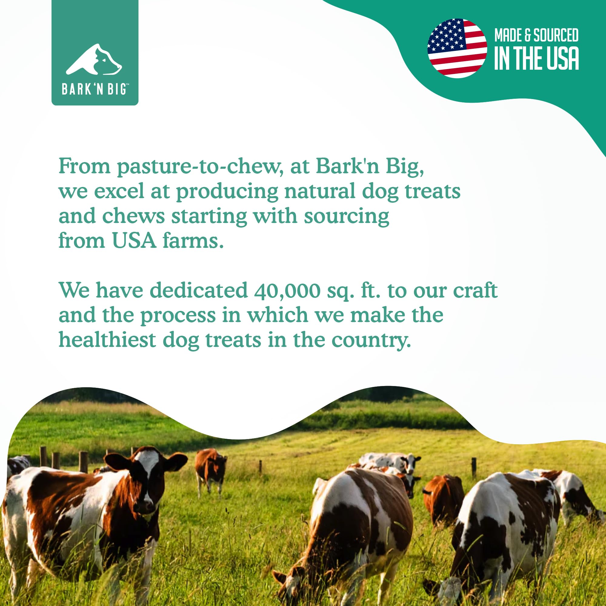 BARK'N BIG Thick Steer Sticks bowl-serving, simple serving, ready for chew time.