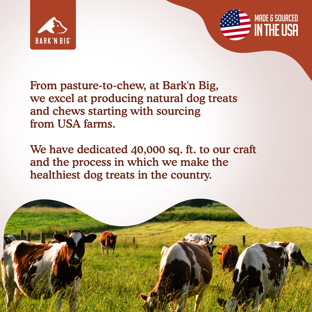 BARK'N BIG bison lung pack designed for dogs of all sizes.