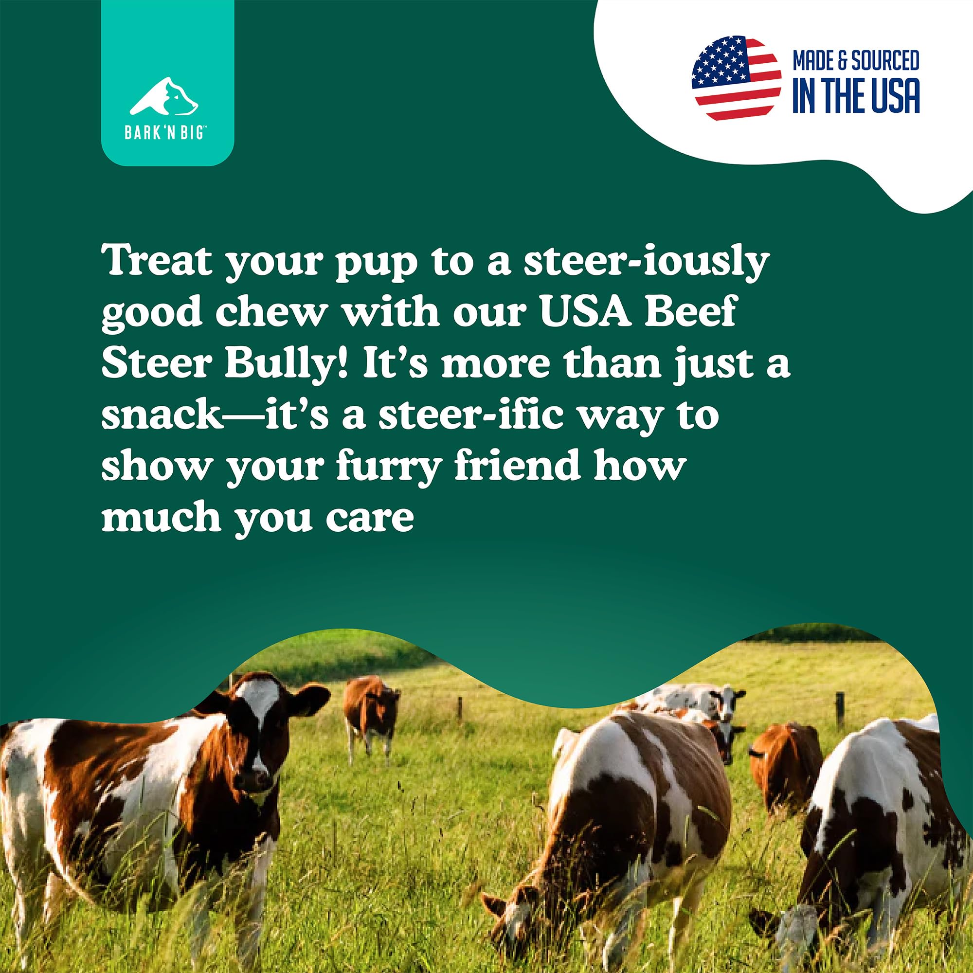 BARKN BIG USA-made packaging highlights quality beef sourcing.
