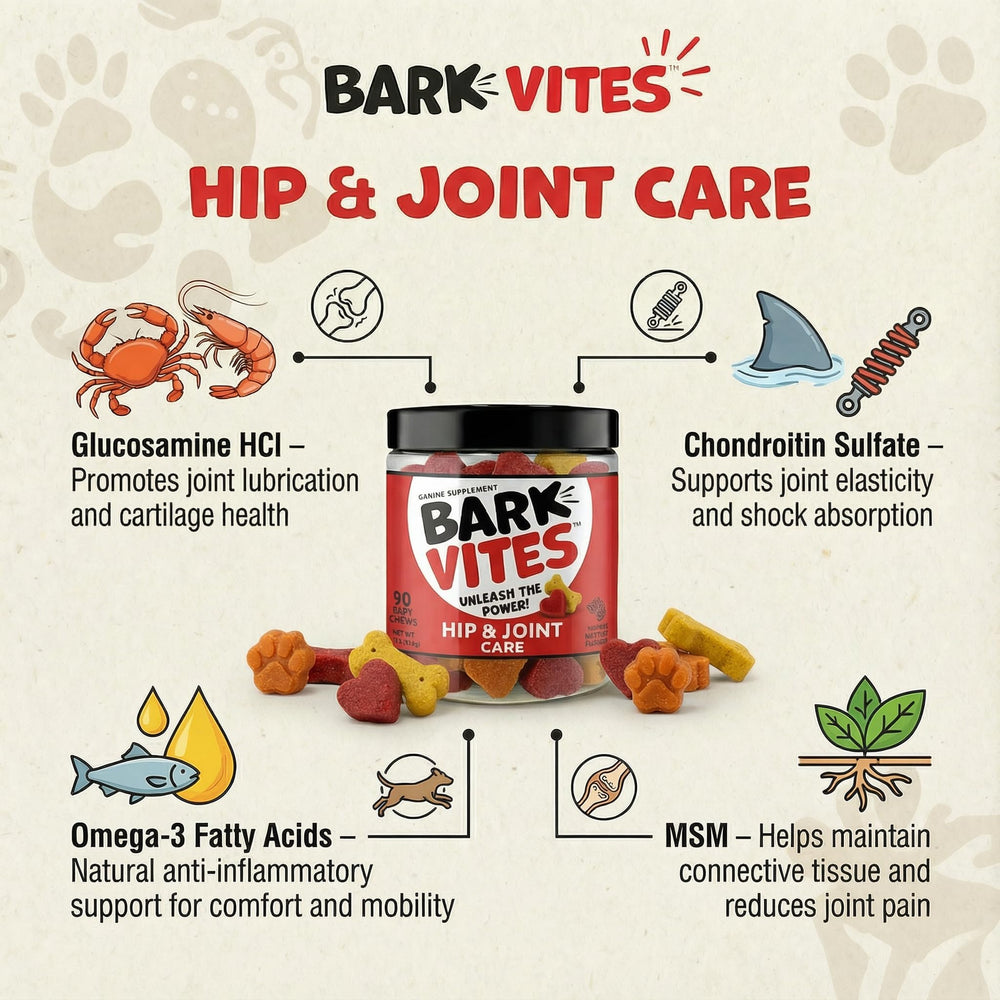 BarkVites omega-3-fish-oil bottle emphasizes anti-inflammatory comfort for mobility.