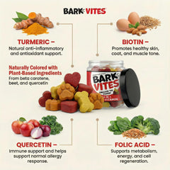 BarkVites skin and coat support with biotin and vitamin E.