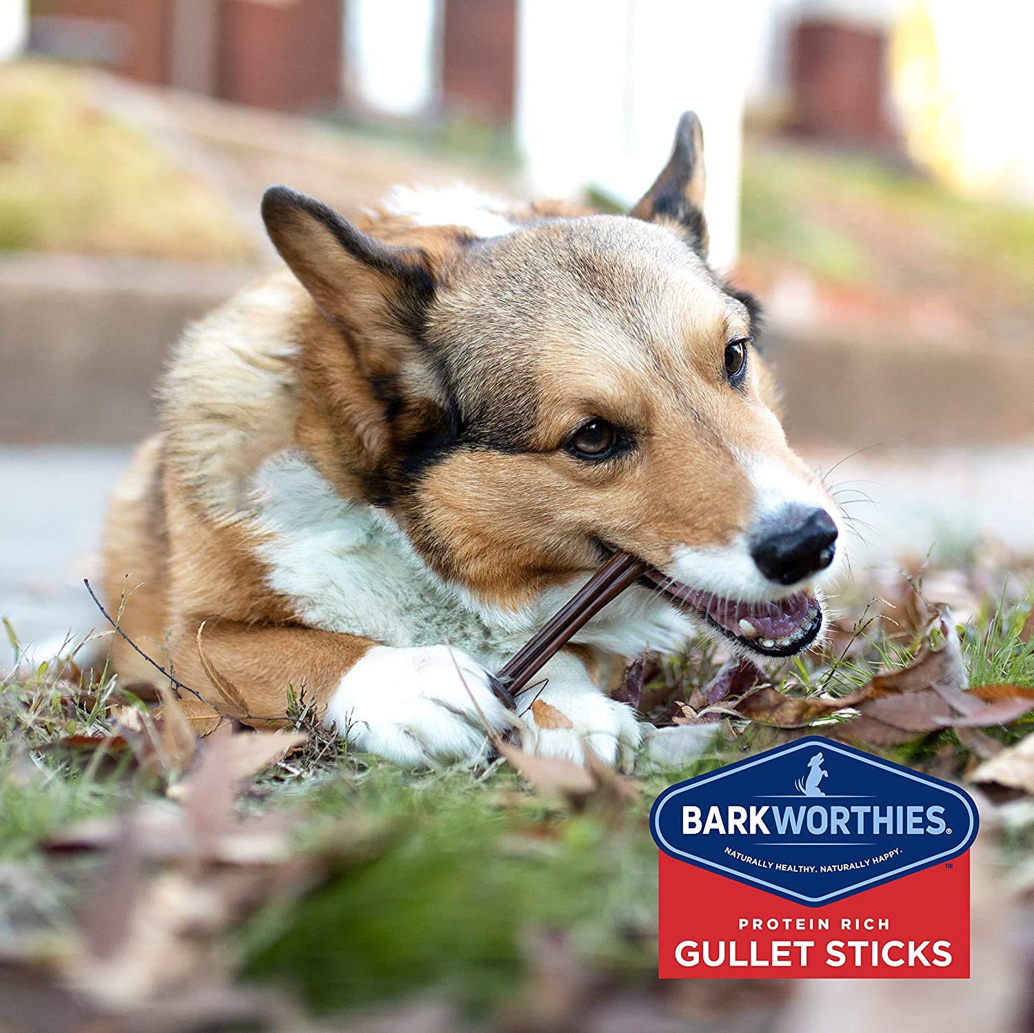 Barkworthies Gullet Sticks natural glucosamine source for joint support in dogs.