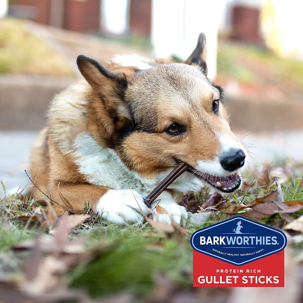 Barkworthies Gullet Sticks natural glucosamine source for joint support in dogs.
