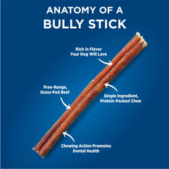 Barkworthies odor-free 12-inch bully sticks close-up highlights natural texture and palatability