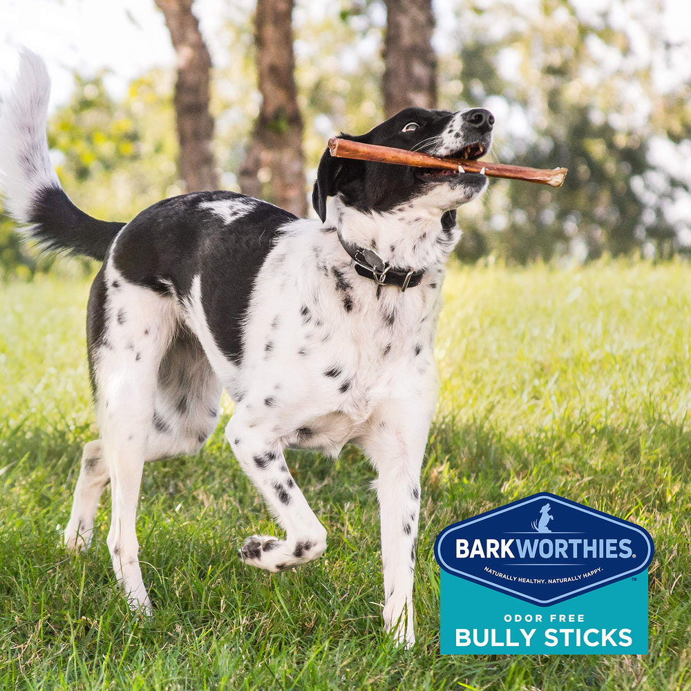 Barkworthies odor-free chew alternative to rawhides for odor-sensitive homes