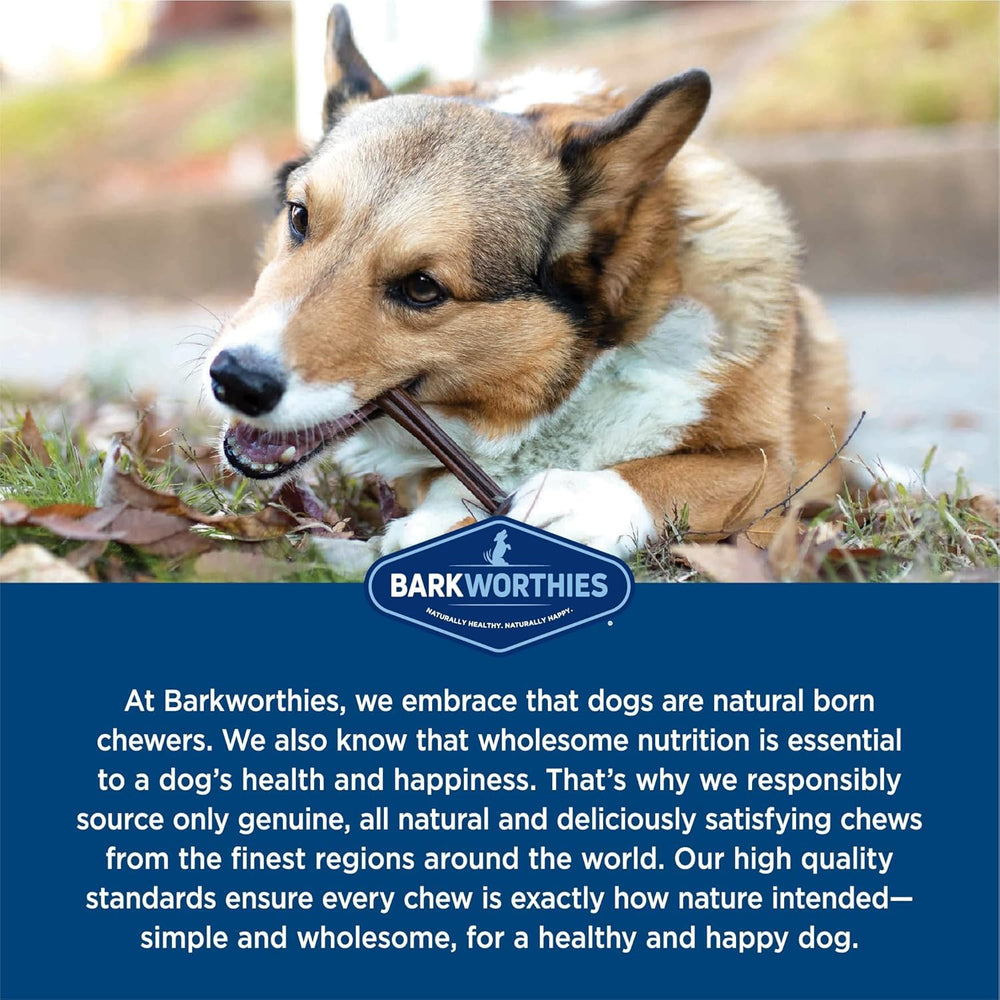 Packaged Barkworthies dog treats 5-count bag display