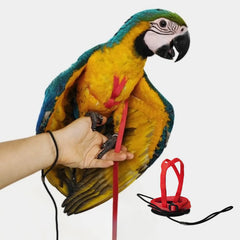 Barn Eleven adjustable bird harness with 2m leash for outdoor flights.