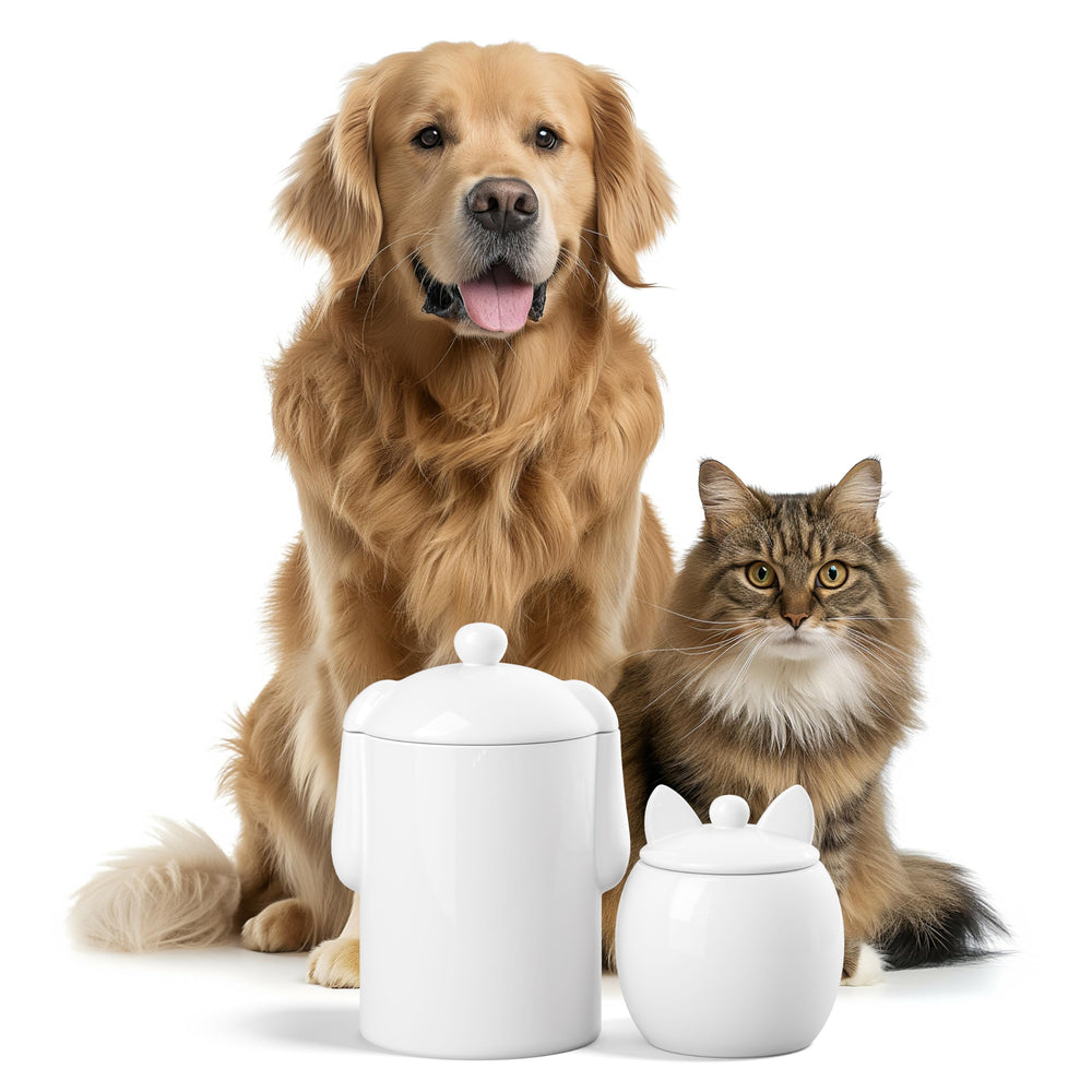 Barnyard Designs cat treat jar on kitchen counter for easy access.