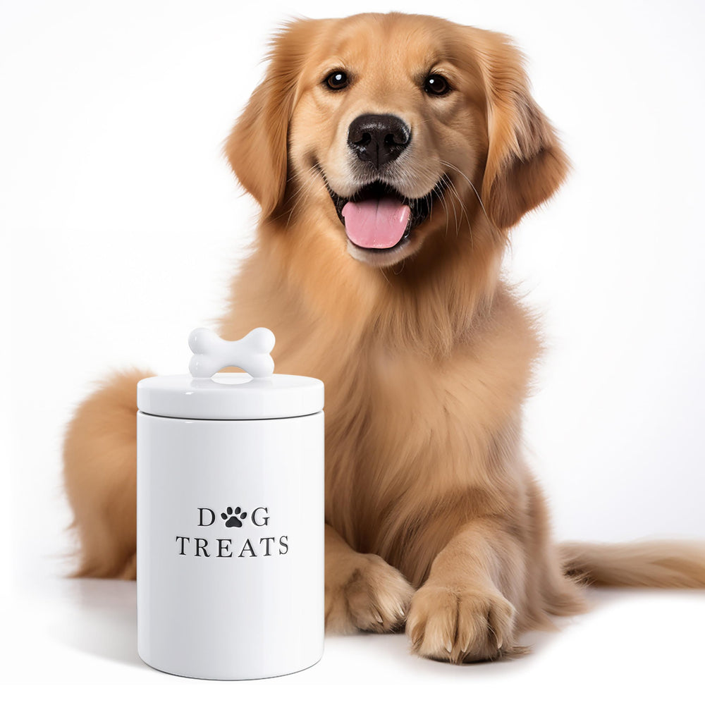 Barnyard Designs rustic white canister suitable for decor and storage.