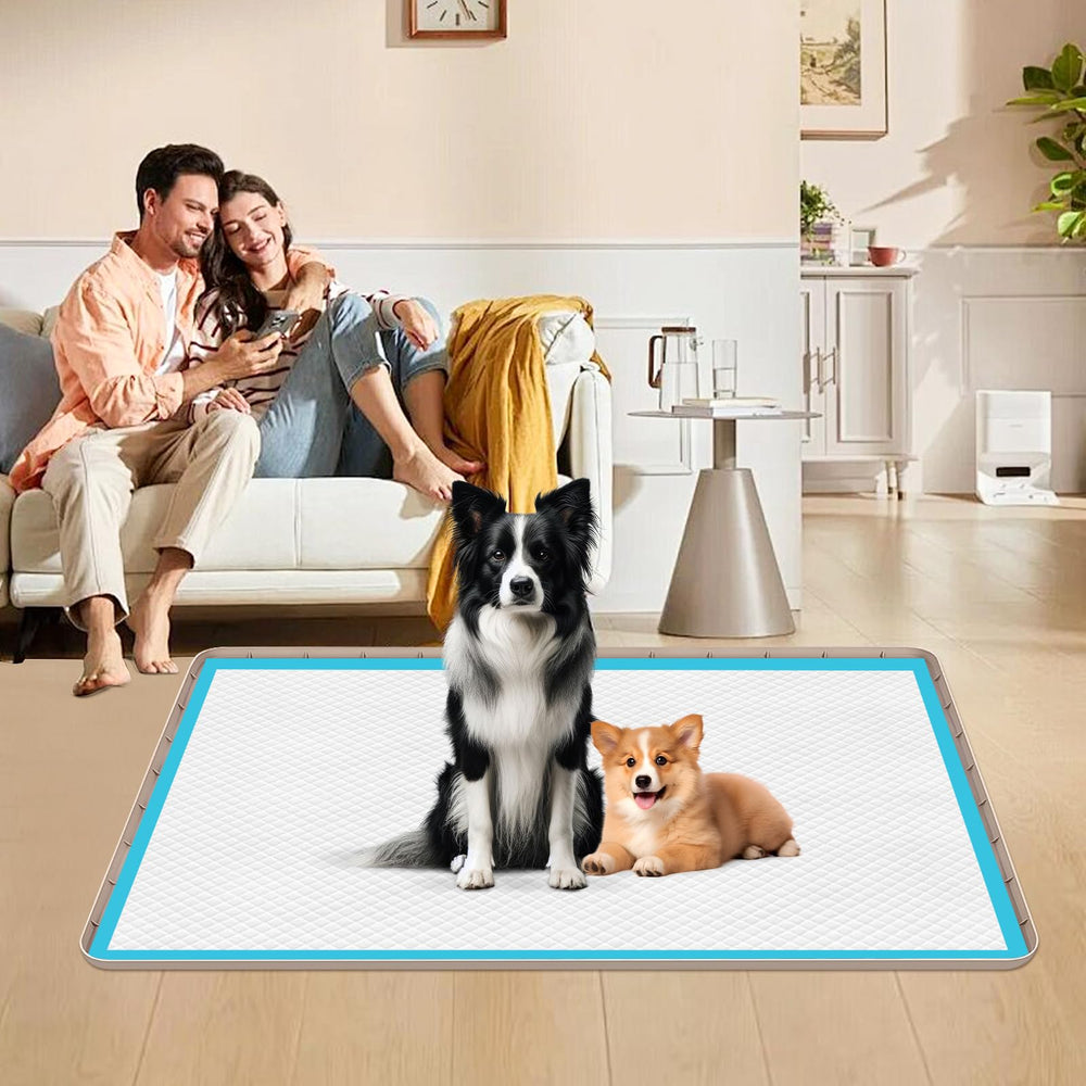 Bartuke low-profile edge enables easy paw access for small dogs.